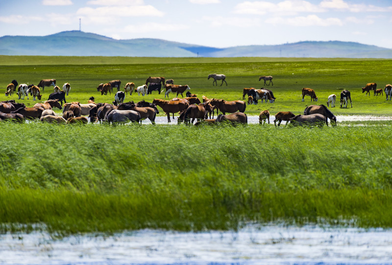内蒙古,草原上的诗意人生之旅